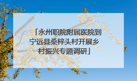 永州职院附属医院到宁远县桑梓头村开展乡村振兴专题调研